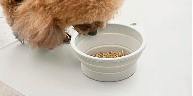 Силиконовая складная чаша для животных Xiaomi Pet Silicone Folding Bowl Small (Beige/Бежевый) : отзывы и обзоры - 4